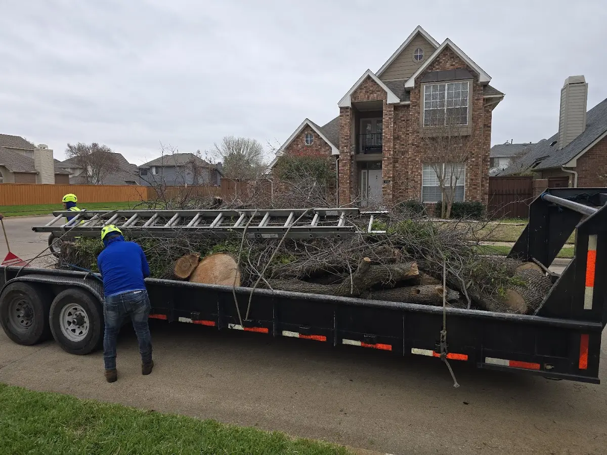 Expert Tree Fertilization with proper safety equipment in Wolflake